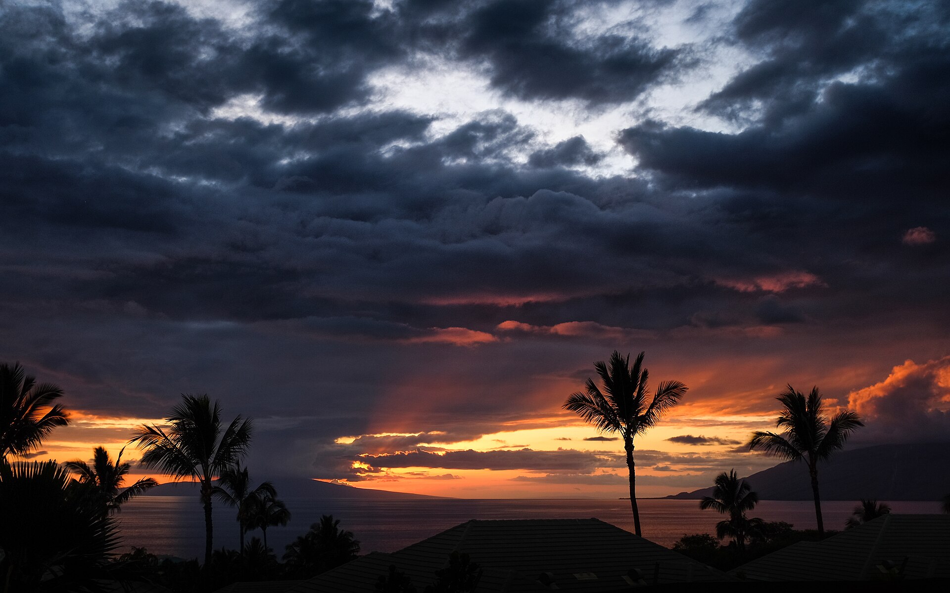Palmen als Silhouetten vor einem Sonnenuntergang über dem Meer